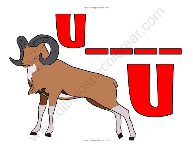 Urial letra U abecedario dibujo a color y para colorear